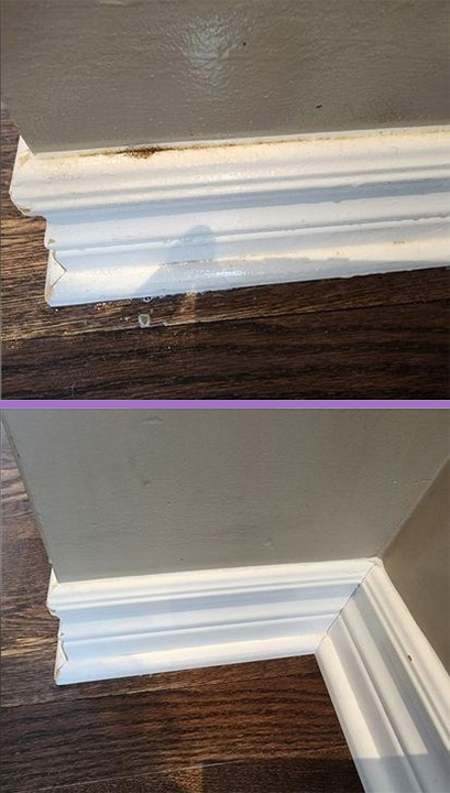 Company photo 3 - replace with your own image